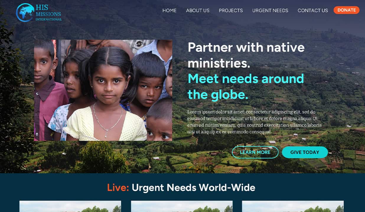 Non-Profit Website Process